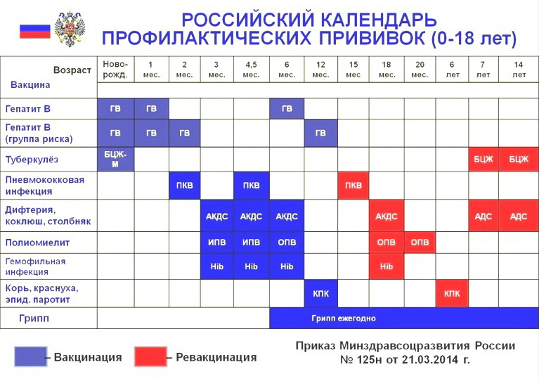 Национальный календарь прививок детей и взрослых | www.mrd1-74.ru